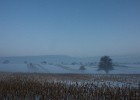 Winterlandschaft in Wettersbach
